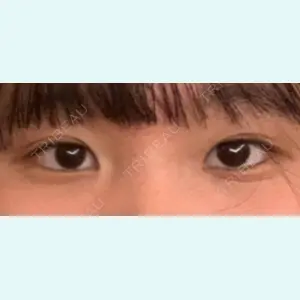 口コミ