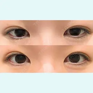 口コミ