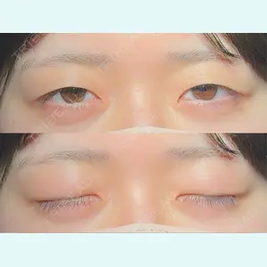 口コミ