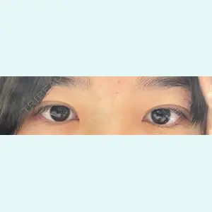 口コミ