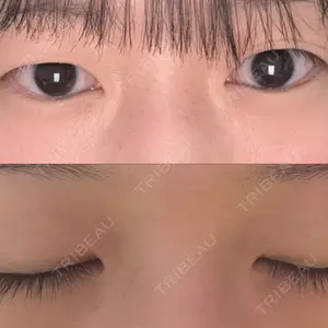 口コミ