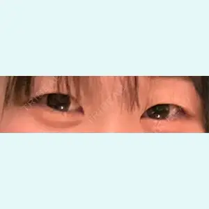 口コミ