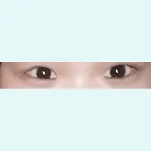 口コミ