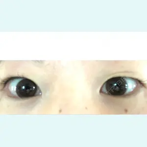 口コミ