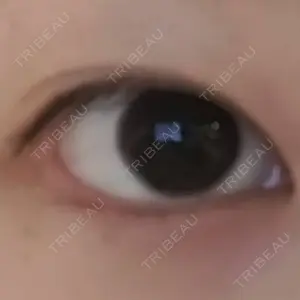口コミ