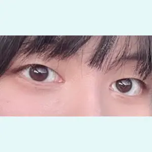 口コミ
