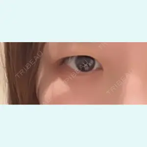 口コミ