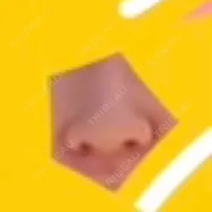 口コミ