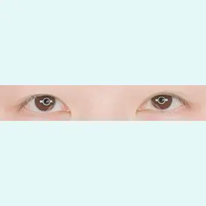 口コミ