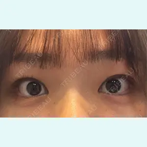 口コミ