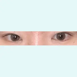 口コミ