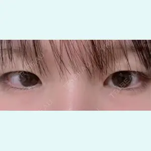 口コミ