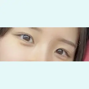 口コミ