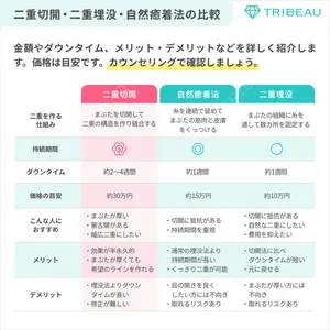 二重切開の解説画像4