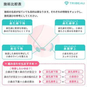 鼻孔縁下降の解説画像4