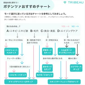 ポテンツァの解説画像4