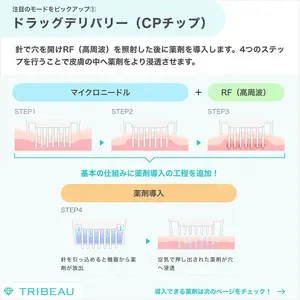 ポテンツァの解説画像5