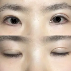 口コミ