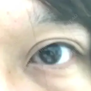 口コミ
