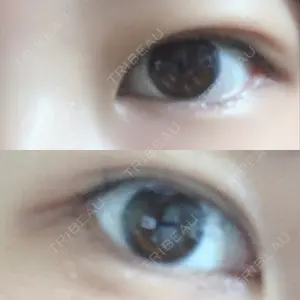 口コミ