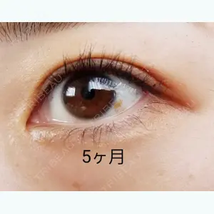 口コミ