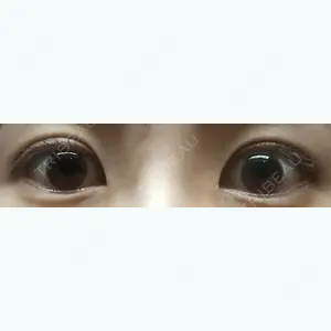 口コミ