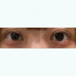 口コミ