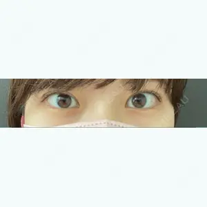 口コミ
