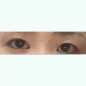 口コミ