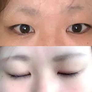 口コミ