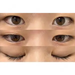口コミ