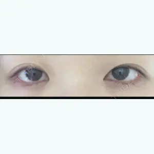 口コミ