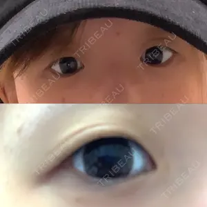 口コミ