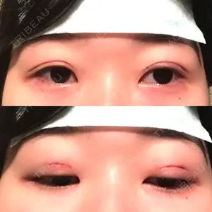 口コミ