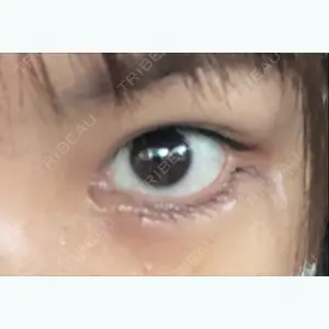 口コミ