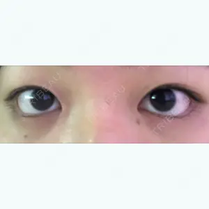 口コミ