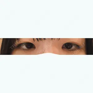 口コミ