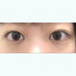 口コミ
