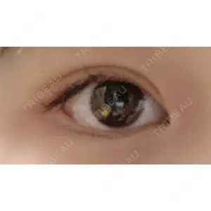 城本クリニック 横浜院口コミ