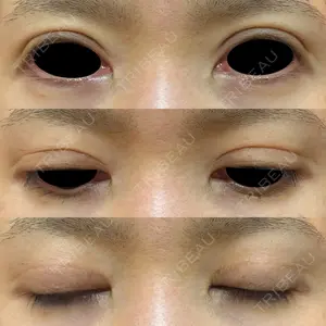 樹のひかり 形成外科・皮ふ科口コミ