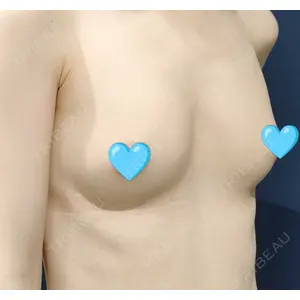 口コミ