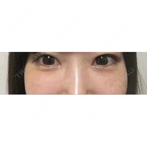 口コミ