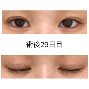 口コミ