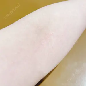 口コミ