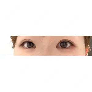 口コミ