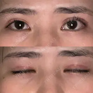 口コミ