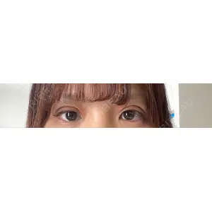 口コミ
