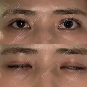 口コミ