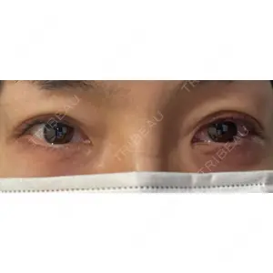 口コミ
