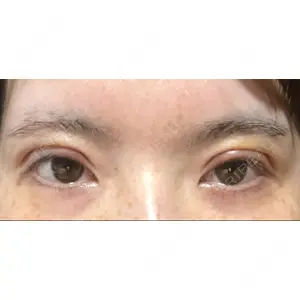 口コミ